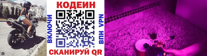 Купить Воскресенск Codein Purple Drank