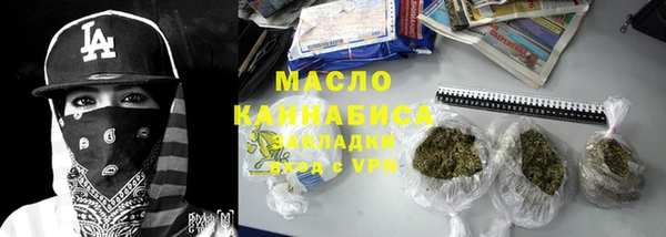 индика Богородицк