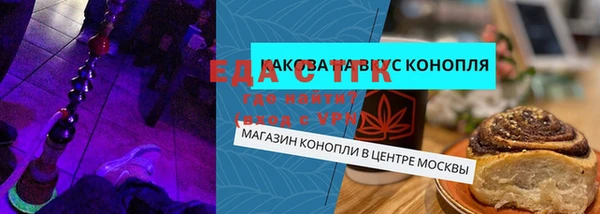 индика Богородицк