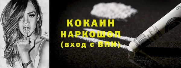 индика Богородицк