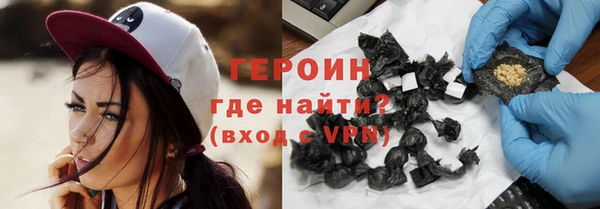 индика Богородицк