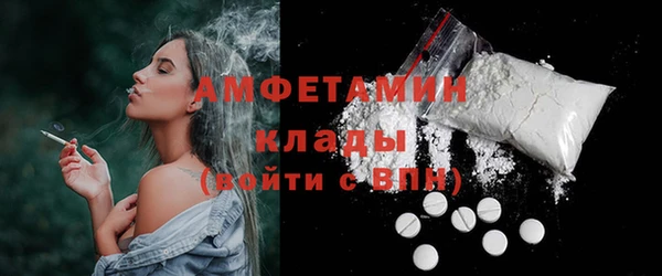 индика Богородицк