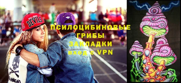 таблы Богородск
