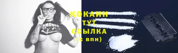 индика Богородицк