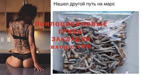 соль курить ск Богданович