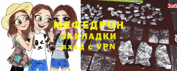 индика Богородицк