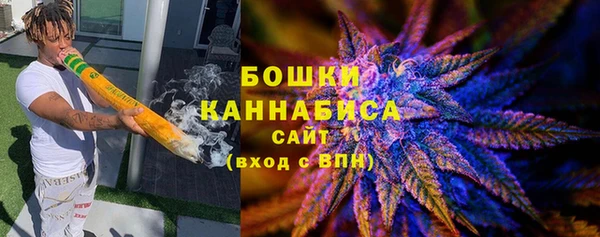 индика Богородицк