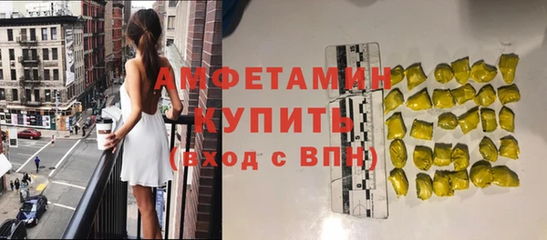 индика Богородицк