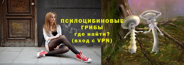 таблы Богородск