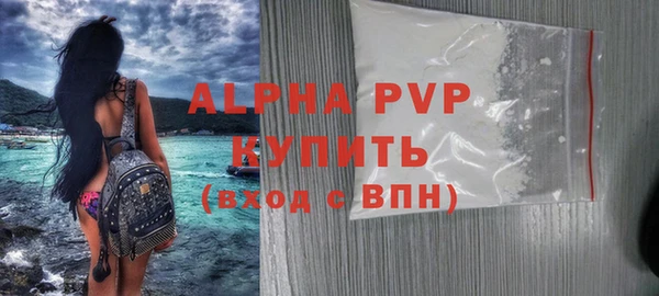 индика Богородицк