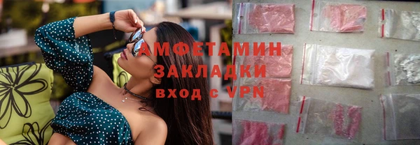 индика Богородицк
