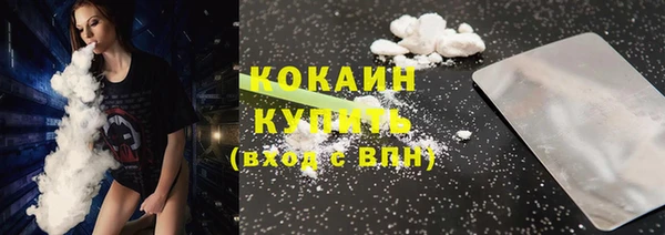 индика Богородицк