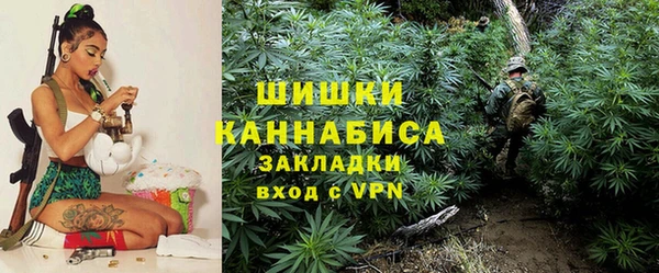 индика Богородицк