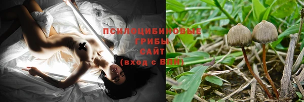 индика Богородицк