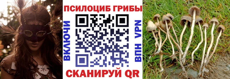 Галлюциногенные грибы Magic Shrooms  Купить закладки  Воскресенск 